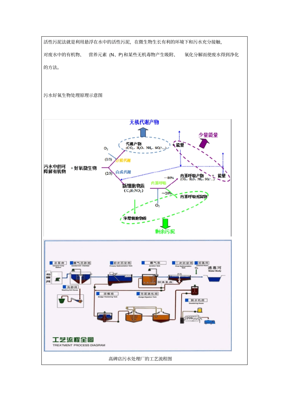 好氧活性污泥培养综合试验-东华大学环境学院大三试验报告_第3页