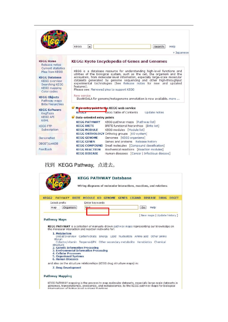 如何使用KEGG的Pathway_第2页
