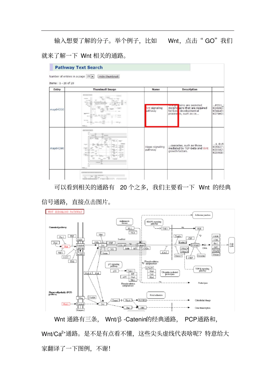如何使用KEGG的Pathway_第3页