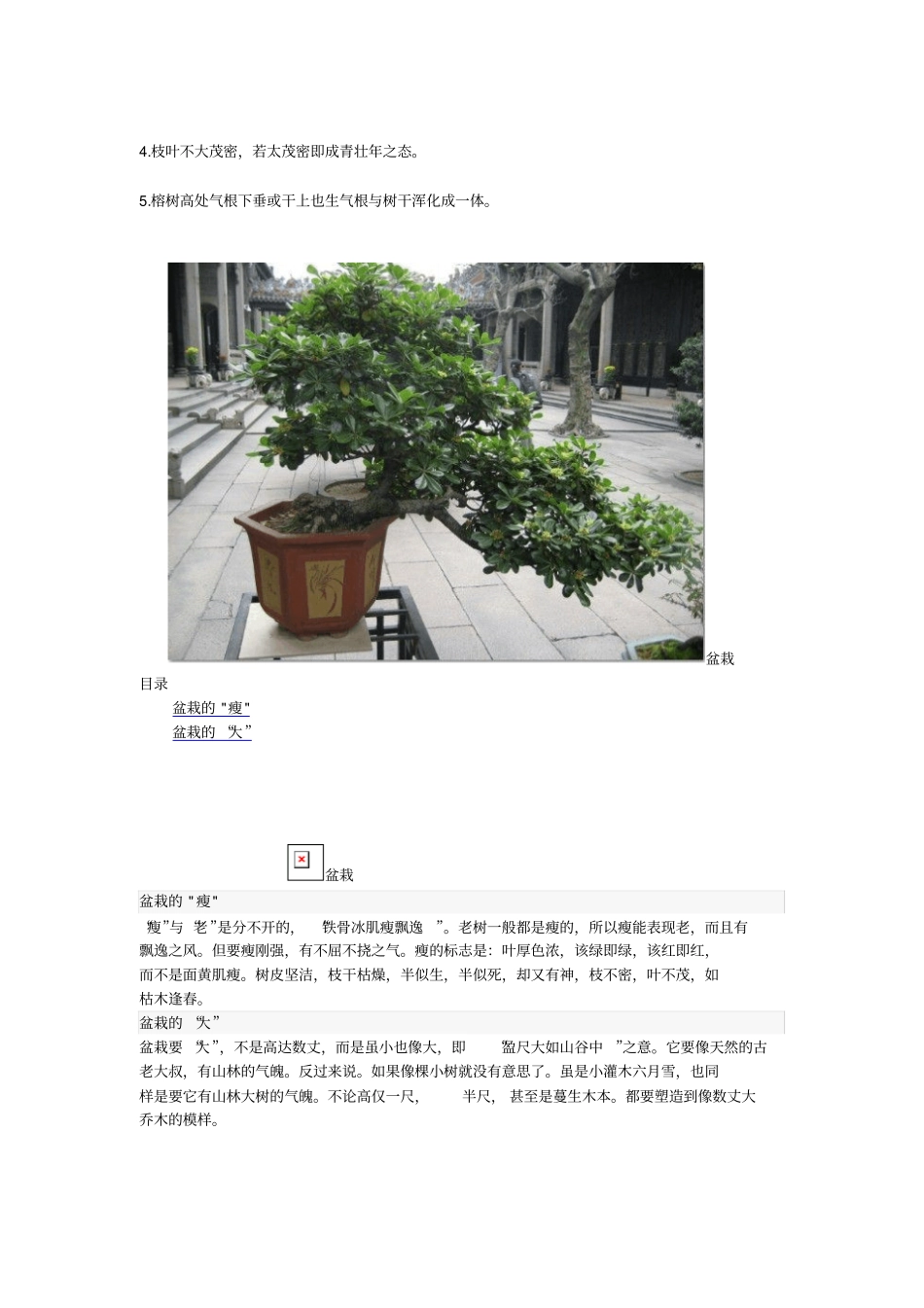 如何品评和欣赏盆栽_第3页