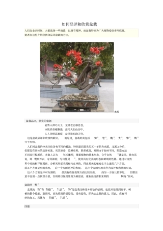 如何品评和欣赏盆栽