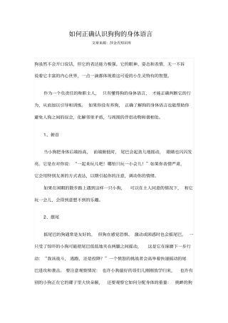 如何正确认识狗狗的身体语言