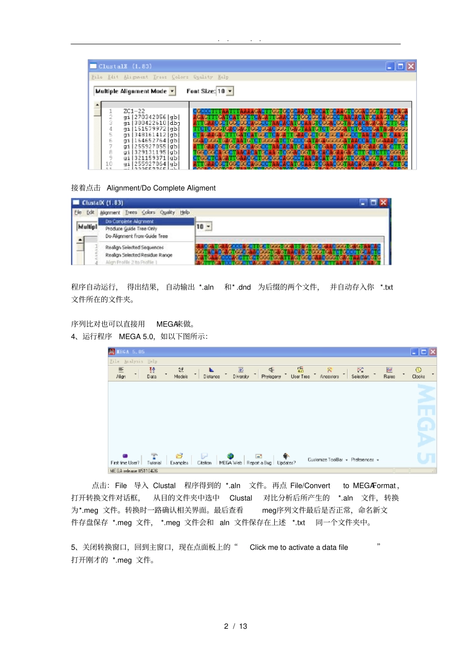 如何用MEGA0和Clustalx83构建进化树_第2页