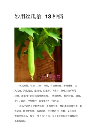 妙用丝瓜治13种病应用