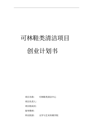 始足下鞋类清洁项目可行性研究报告