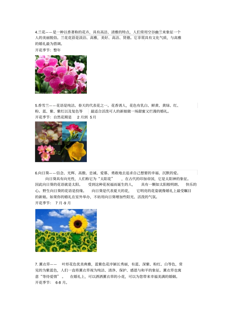 婚礼常用花材及花语普菲特整理汇总_第2页