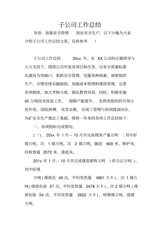子公司工作总结