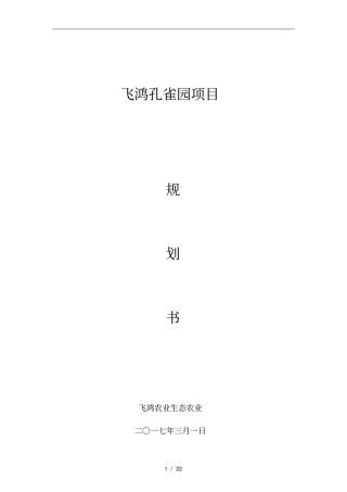 孔雀园商业实施计划书
