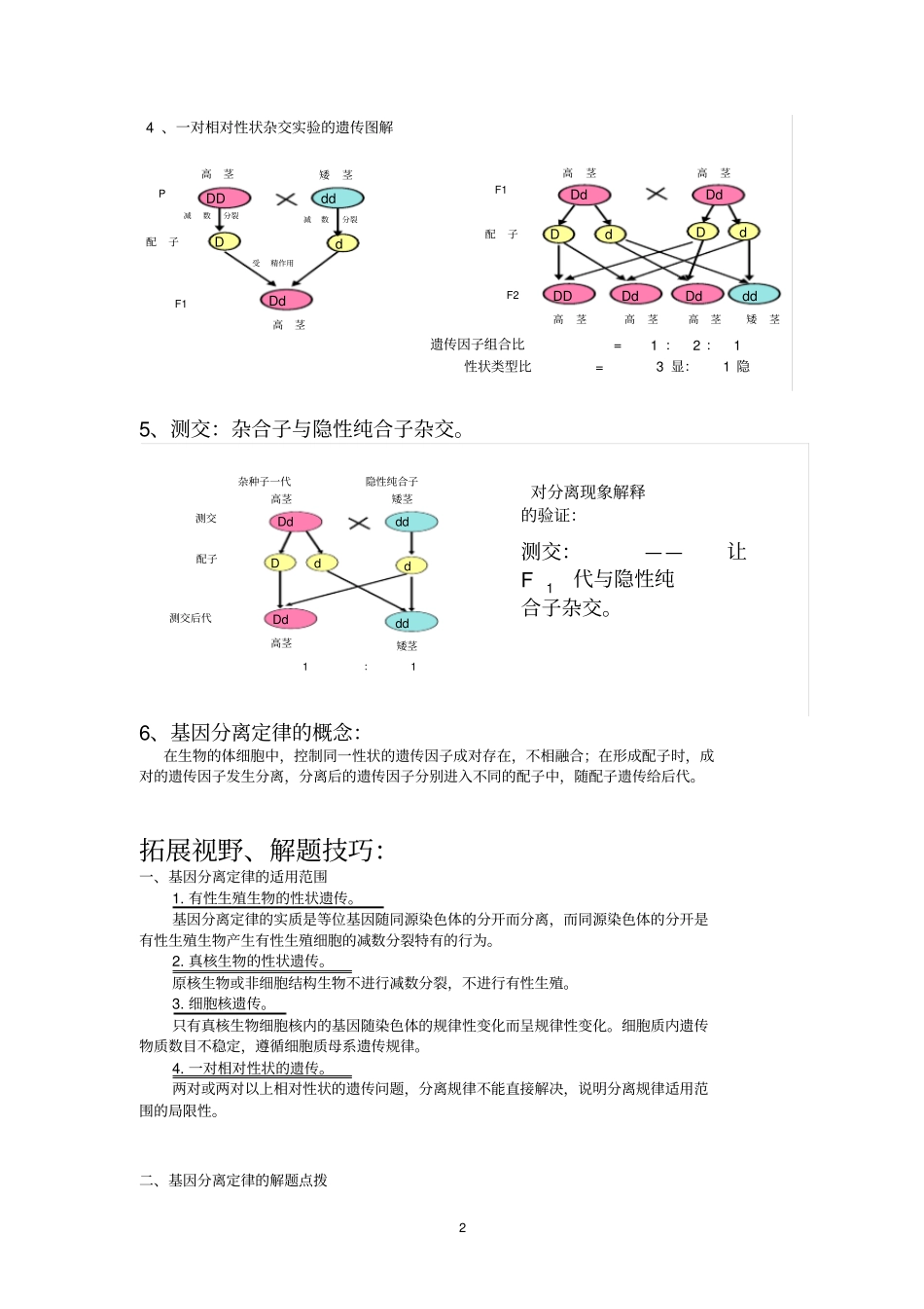 孟德尔的豌豆杂交试验一知识点分析_第2页