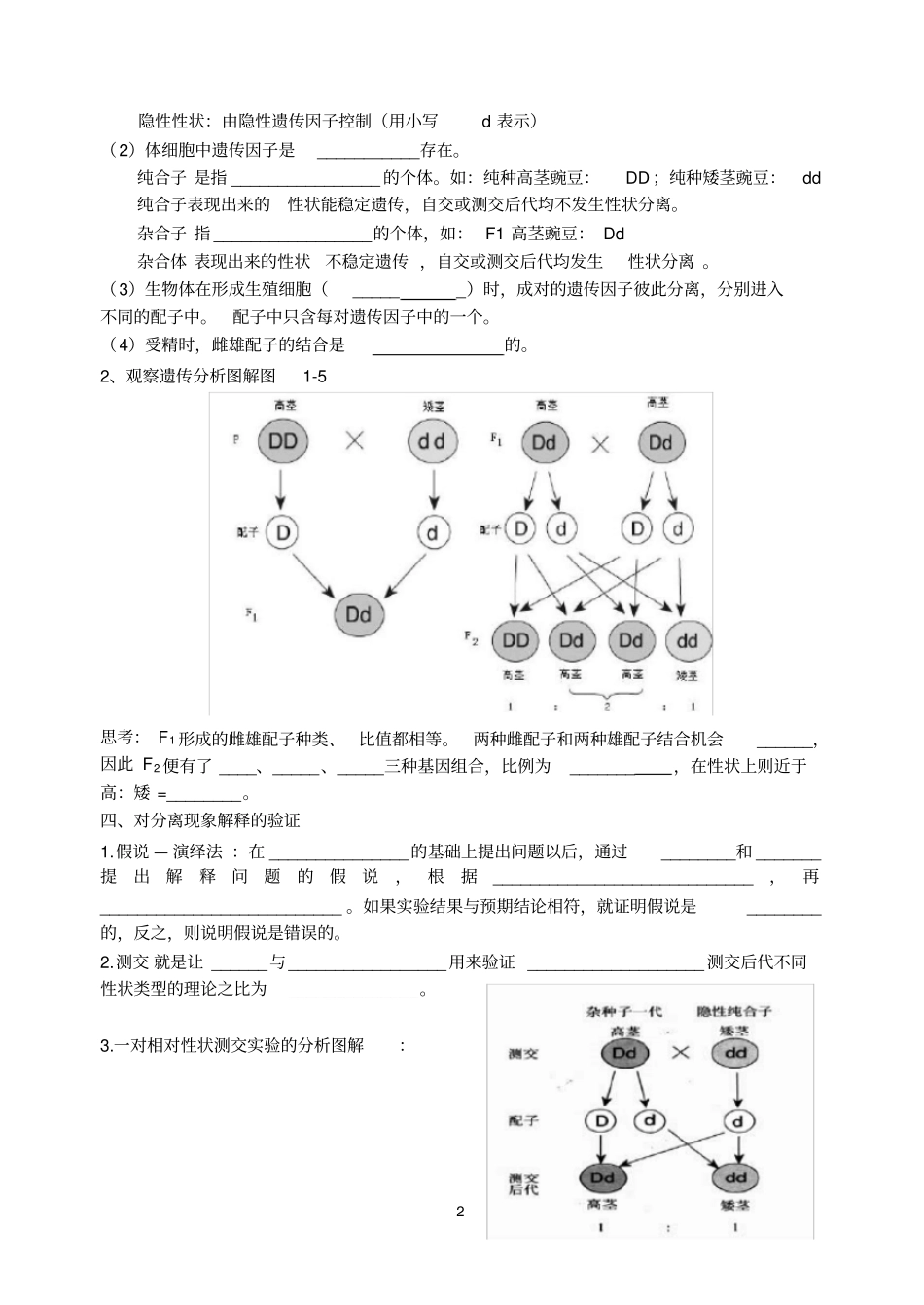 孟德尔的豌豆杂交试验一导学案_第2页
