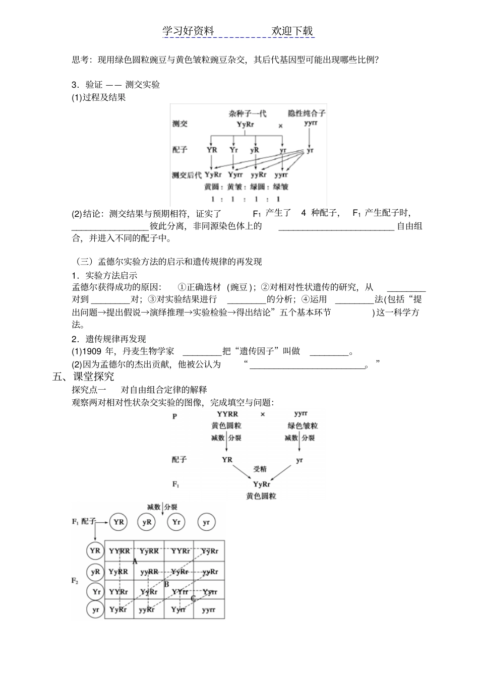 孟德尔豌豆杂交试验二导学案公开课新_第2页