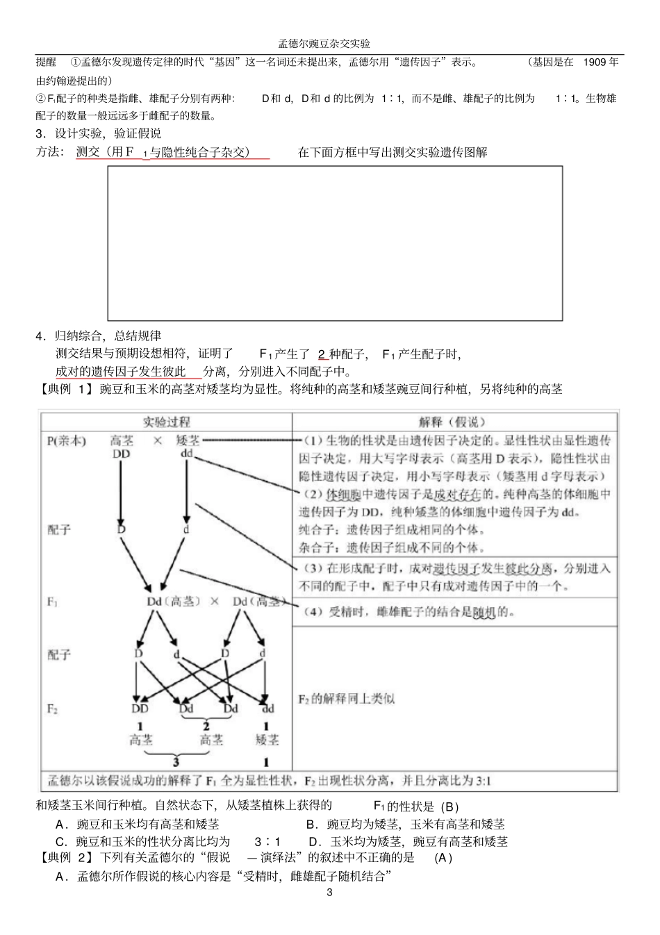 孟德尔的豌豆杂交试验知识点总结教师版_第3页