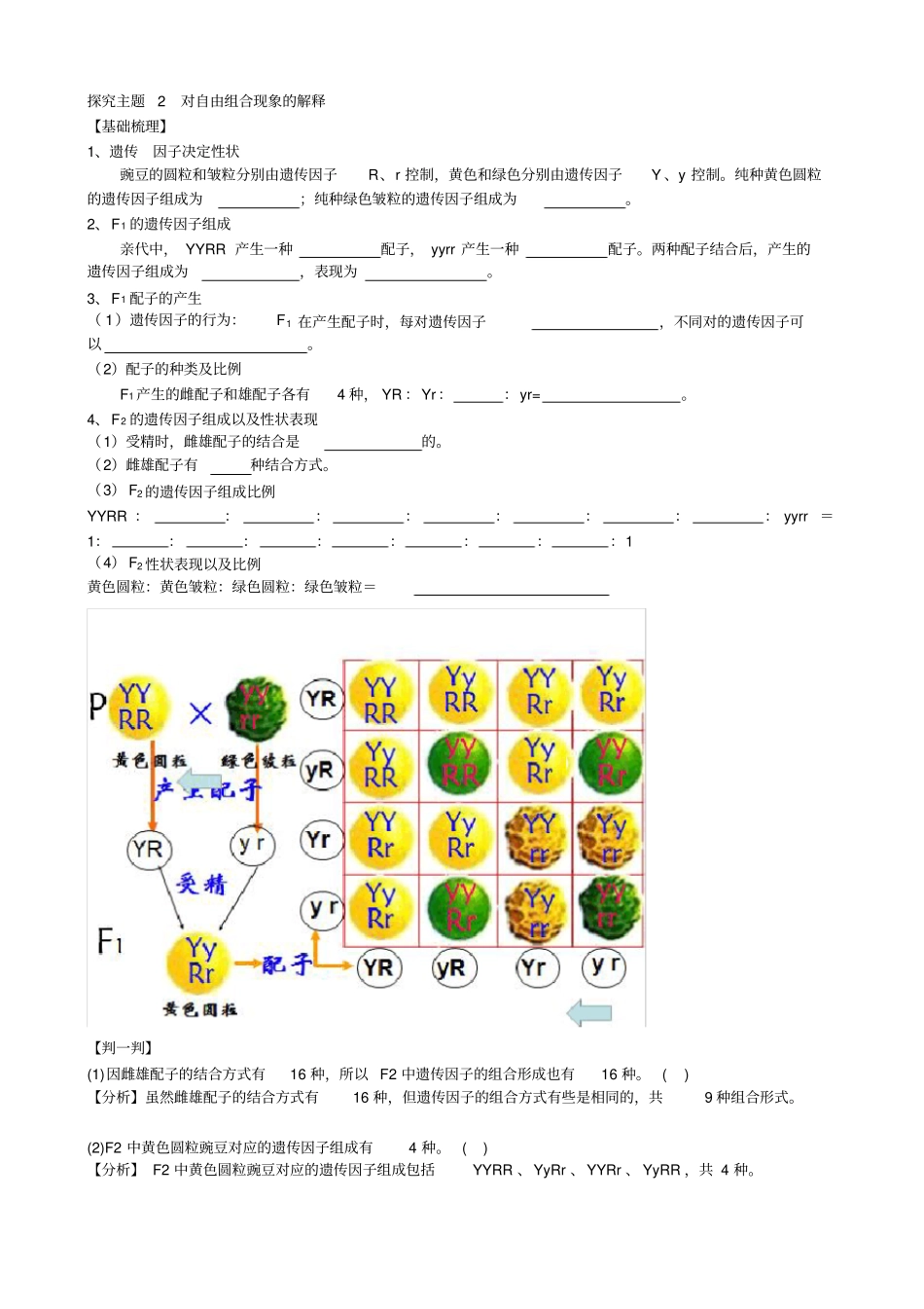 孟德尔豌豆杂交试验二教学设计_第3页