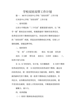 学校双培双带工作计划
