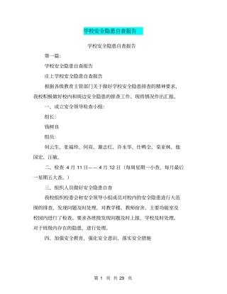 学校安全隐患自查报告
