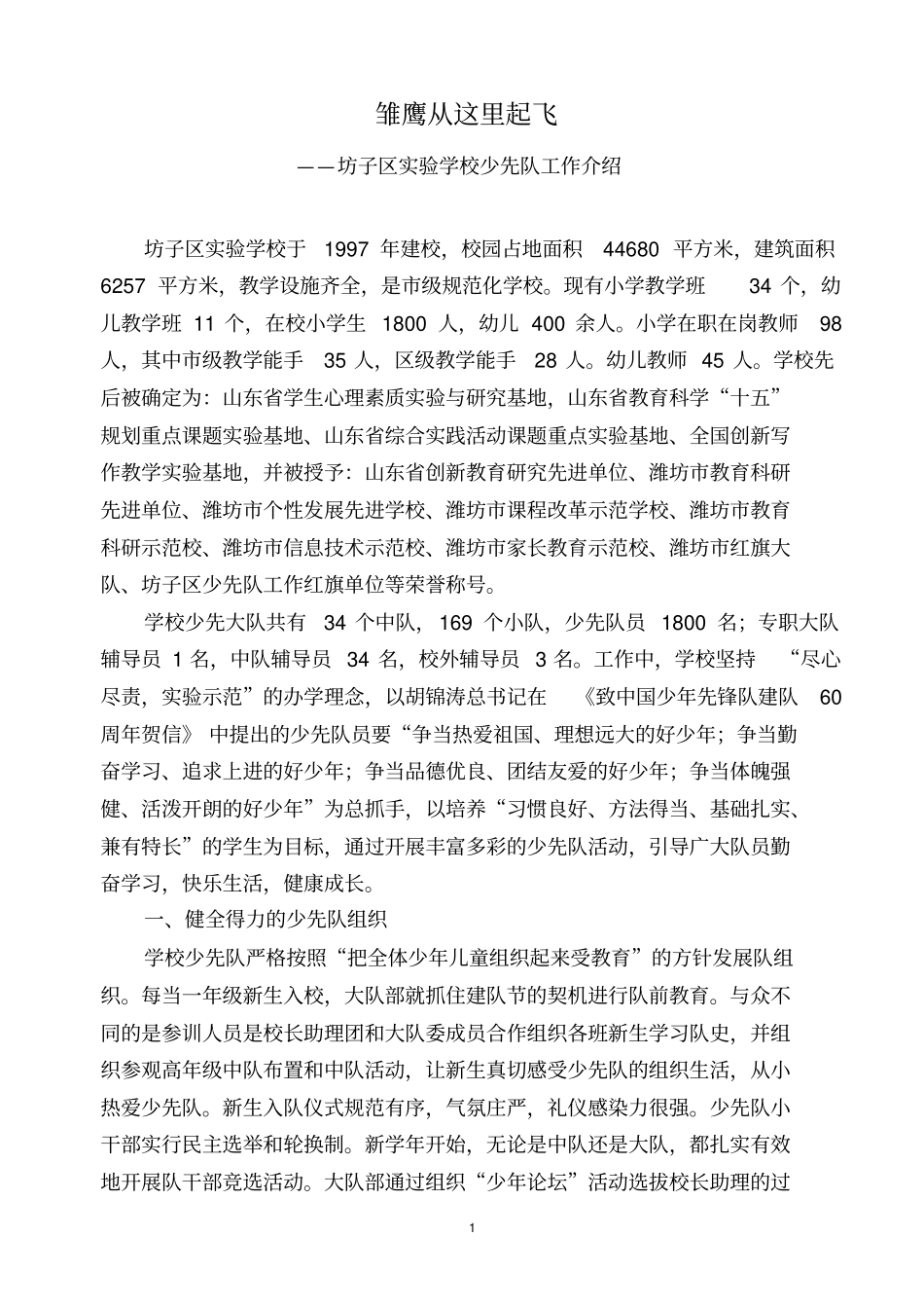 学校少先队总结_第2页