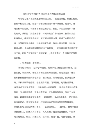 学校开展的各项安全工作及取得的成效