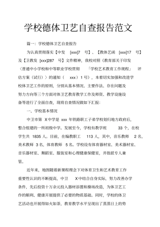 学校德体卫艺自查报告范文