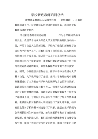 学校新进教师培训总结