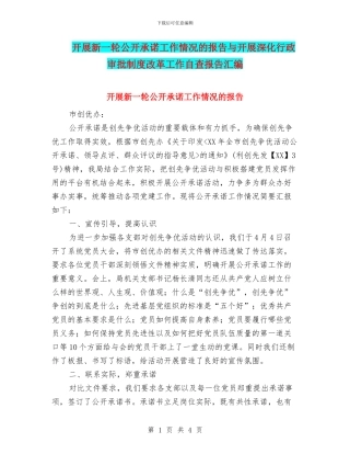 开展新一轮公开承诺工作情况的报告与开展深化行政审批制度改革工作自查报告汇编