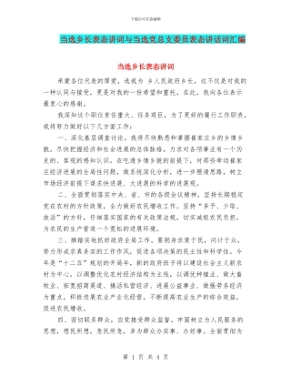 当选乡长表态讲词与当选党总支委员表态讲话词汇编