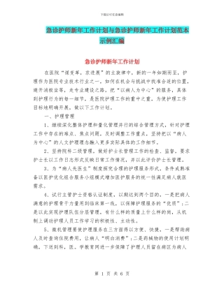 急诊护师新年工作计划与急诊护师新年工作计划范本示例汇编
