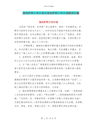 急诊护师工作计划与急诊护师工作计划报告汇编