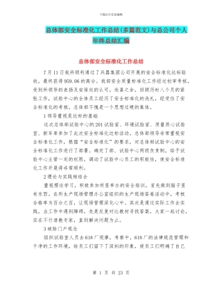 总体部安全标准化工作总结与总公司个人年终总结汇编