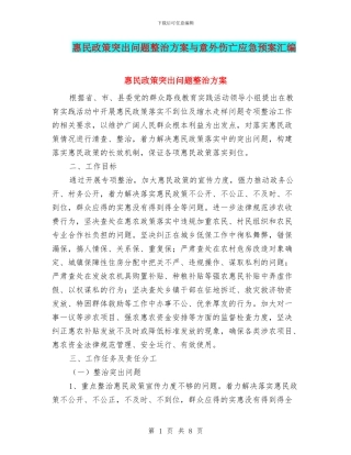 惠民政策突出问题整治方案与意外伤亡应急预案汇编