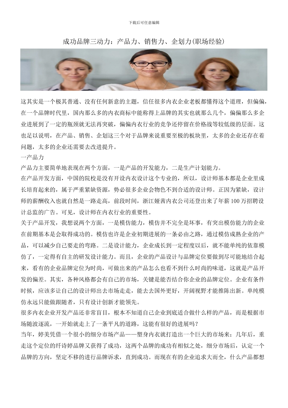 成功品牌三动力：产品力、销售力、企划力_第1页