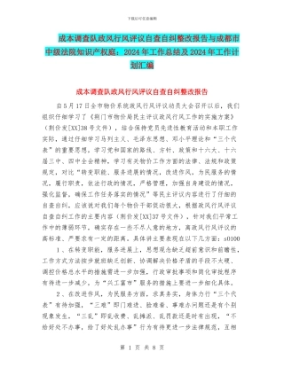 成本调查队政风行风评议自查自纠整改报告与成都市中级法院知识产权庭：2024年工作总结及2024年工作计划汇编