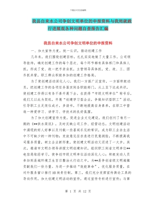 我县自来水公司争创文明单位的申报资料与我局就践行发展观各种问题自查报告汇编
