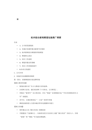 杭州综合新闻频道包装推广方案分析