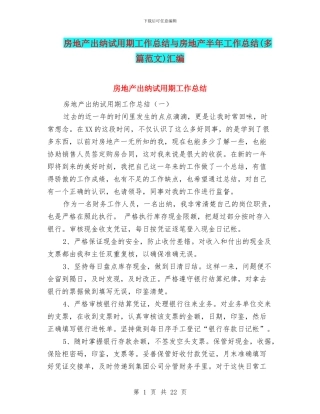房地产出纳试用期工作总结与房地产半年工作总结汇编