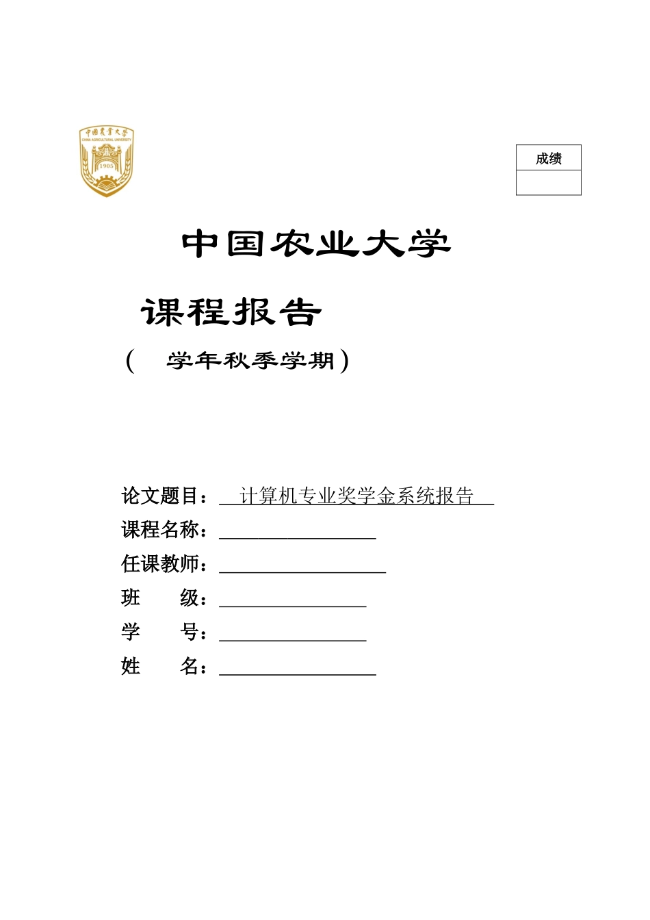中国农业大学奖学金系统课程报告_第1页