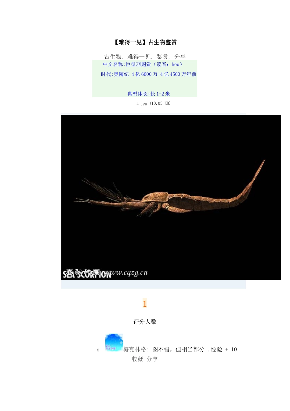 【图文】古生物鉴赏_第1页