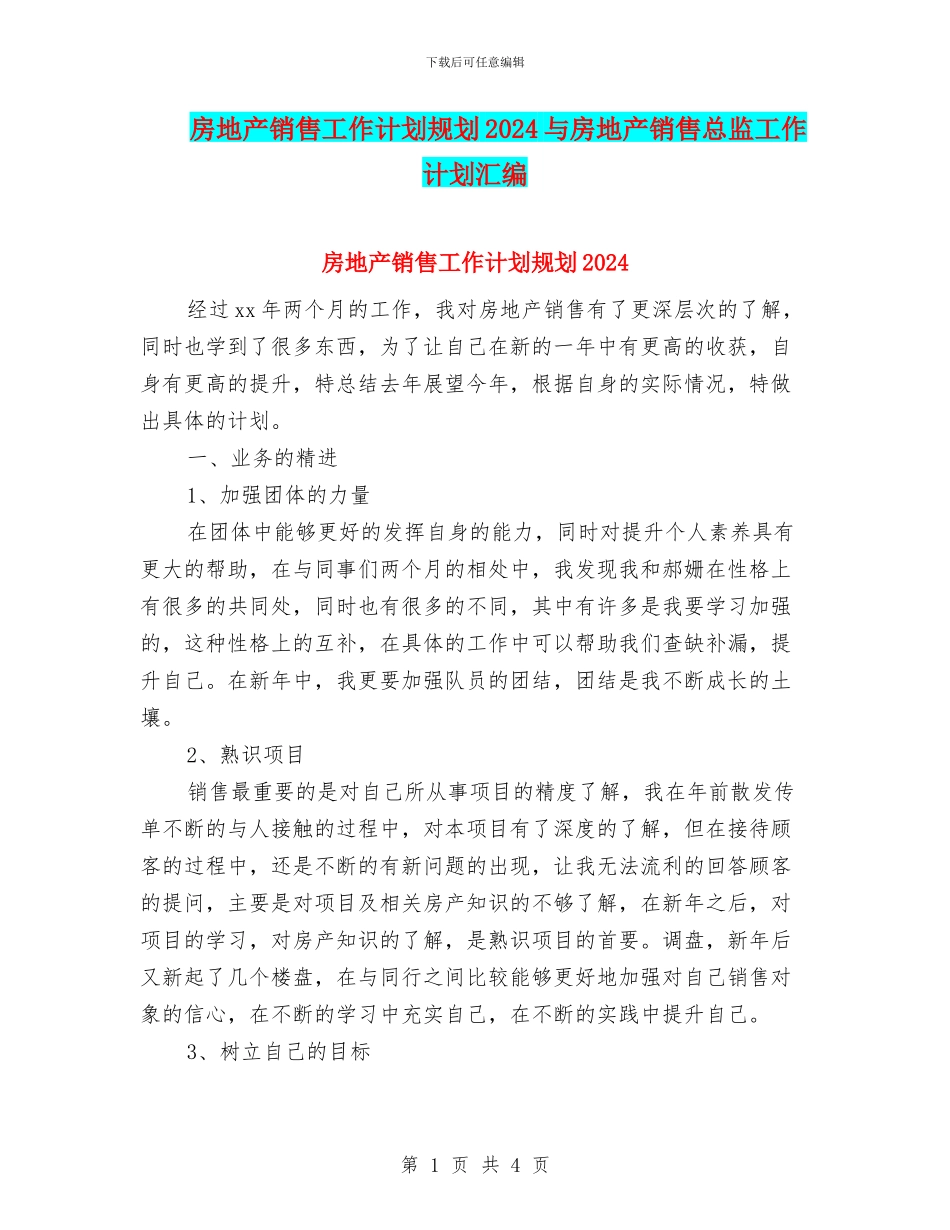 房地产销售工作计划规划2024与房地产销售总监工作计划汇编_第1页