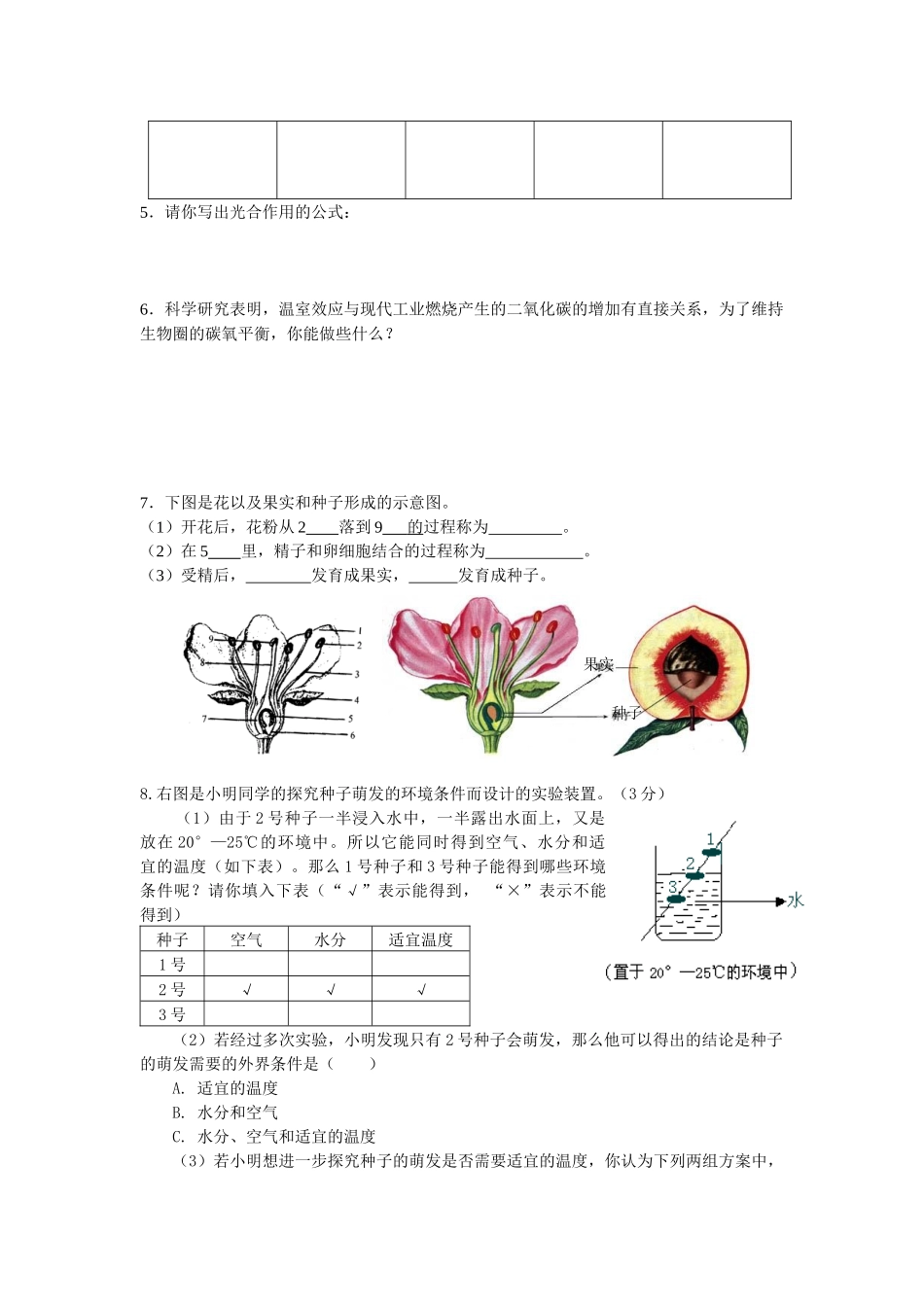 专题四生物圈中的绿色植物_第3页