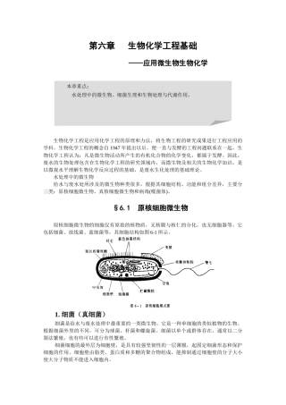 生物化学工程基础