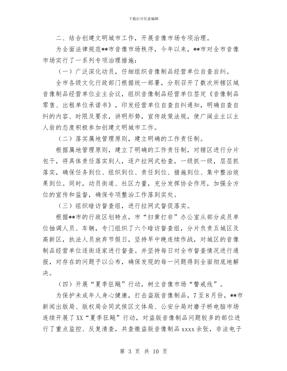 打击盗版音像制品专项行动总结与打字员2024年个人工作总结范文汇编_第3页