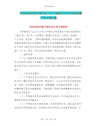 打击非法行医专项行动工作计划范本与打字员试用期工作计划汇编