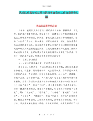 执法队反腐行动总结与执纪审查安全工作自查报告汇编