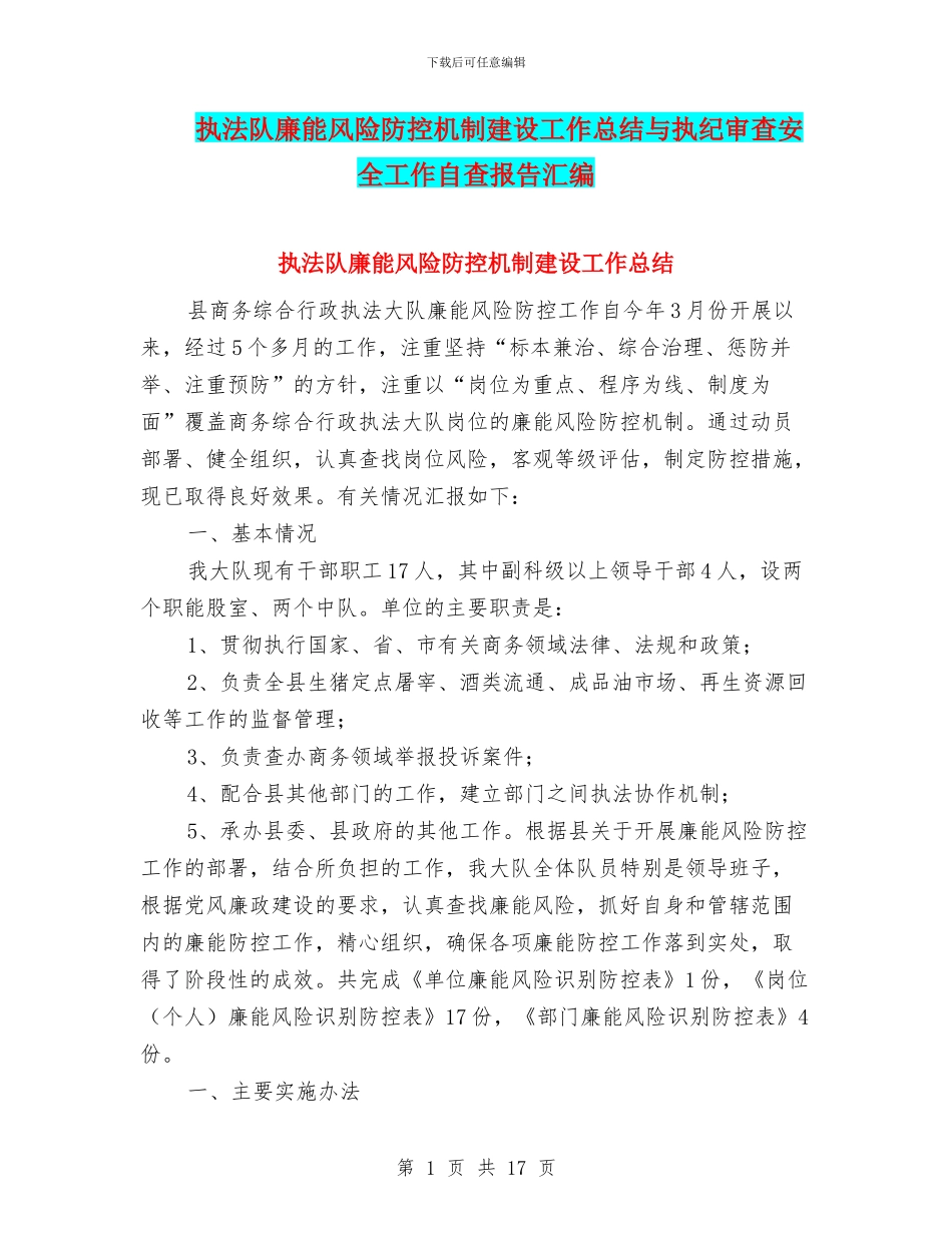 执法队廉能风险防控机制建设工作总结与执纪审查安全工作自查报告汇编_第1页