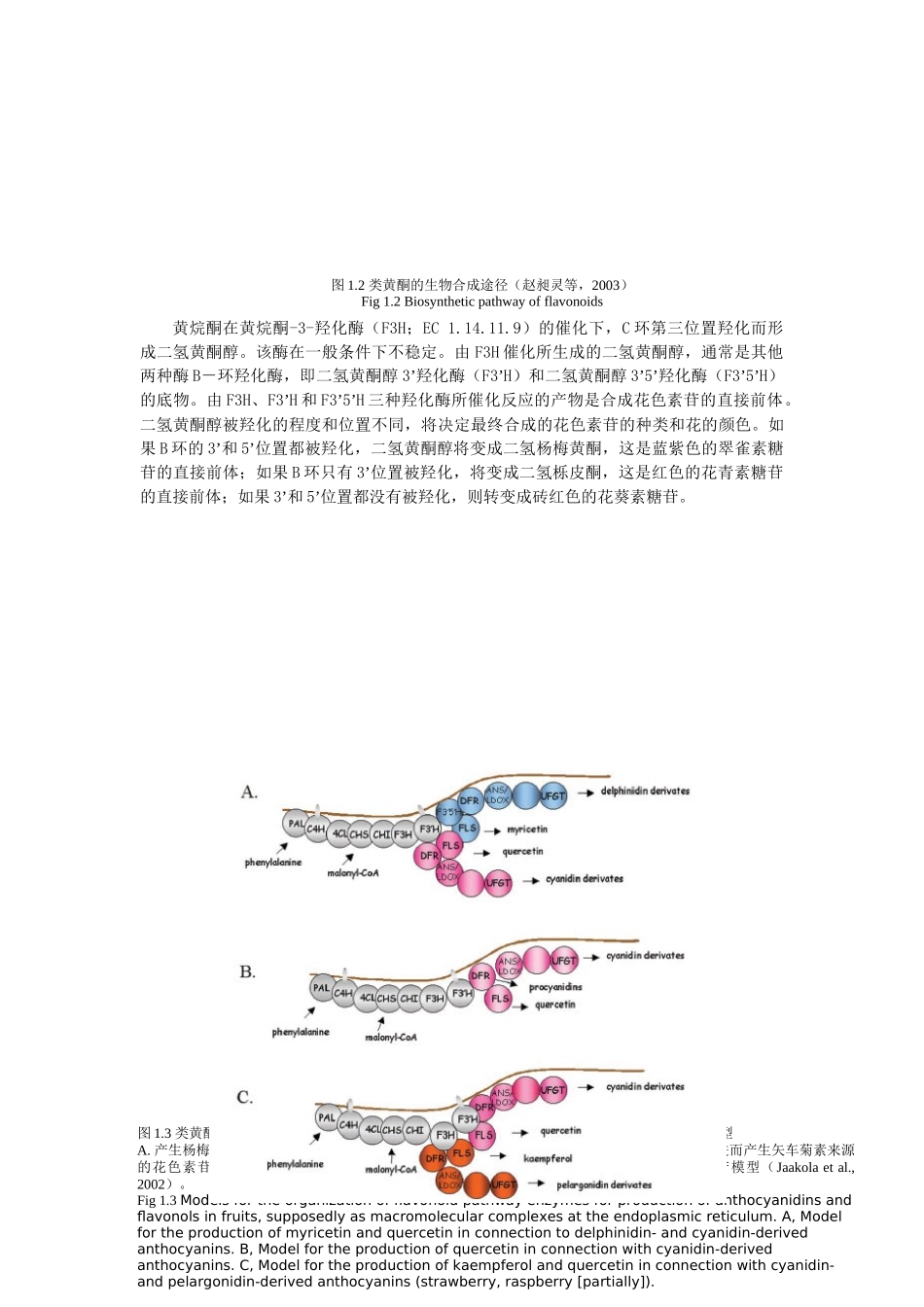 花色素苷生物合成相关基因的研究进展_第2页