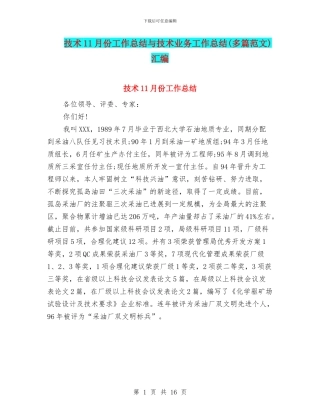 技术11月份工作总结与技术业务工作总结汇编