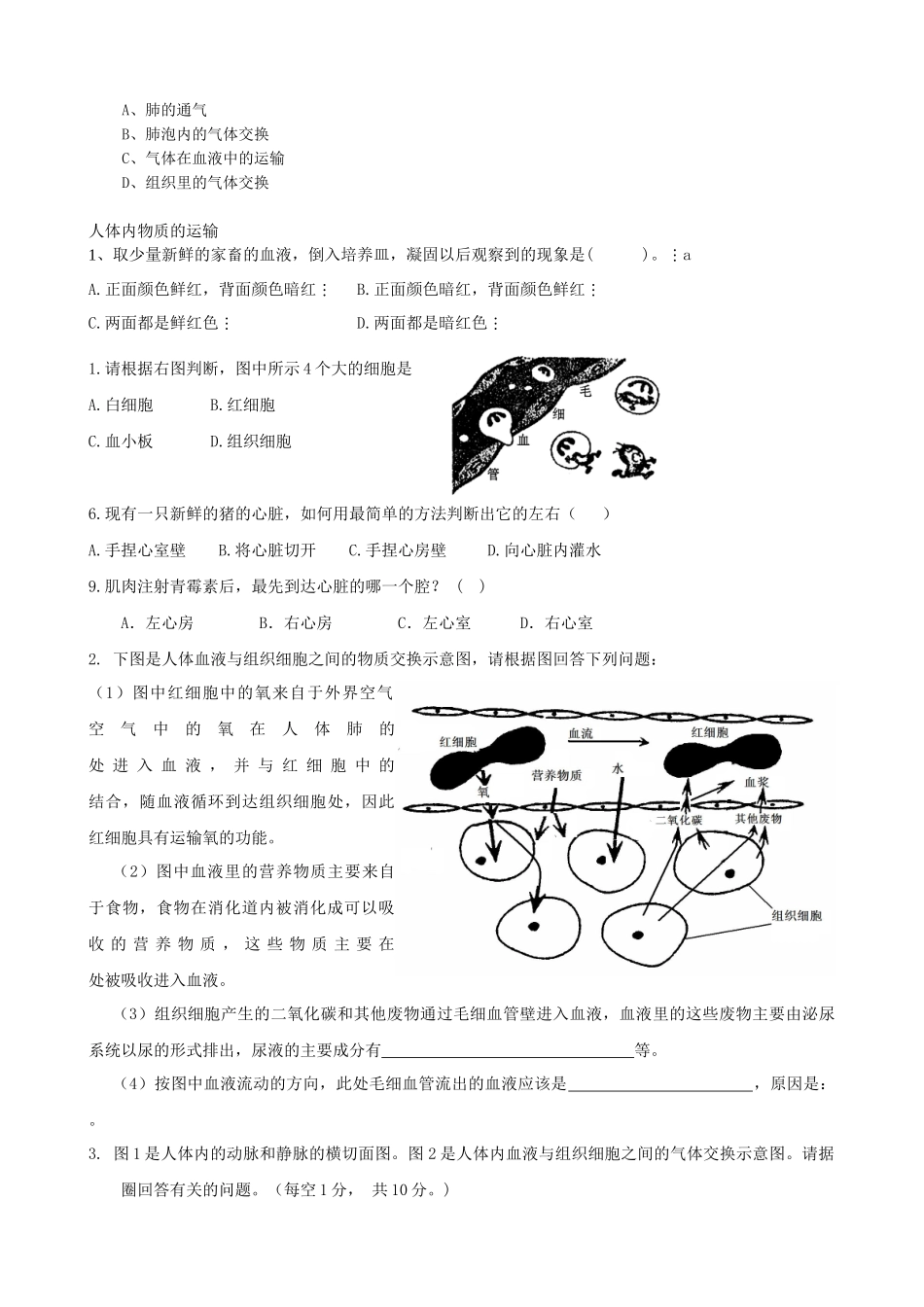 生物初二上册试题_第3页