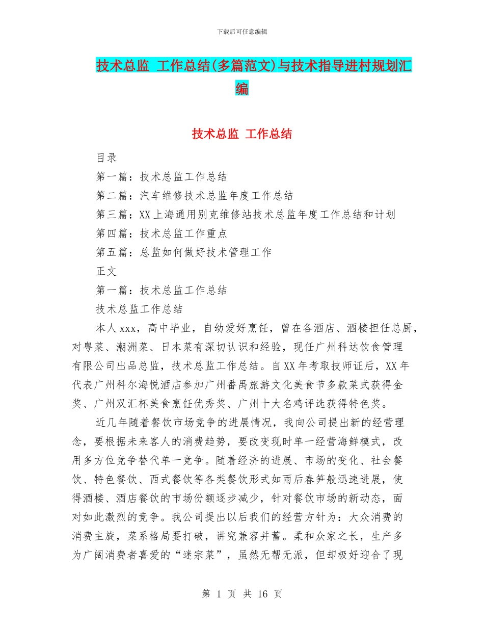 技术总监-工作总结与技术指导进村规划汇编_第1页
