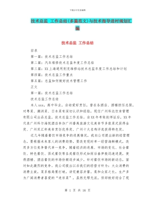 技术总监-工作总结与技术指导进村规划汇编