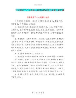 技术部员工个人发展计划书与抓好审计监督计划汇编