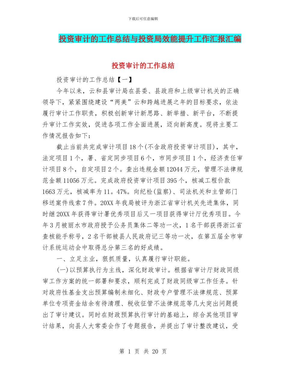投资审计的工作总结与投资局效能提升工作汇报汇编_第1页